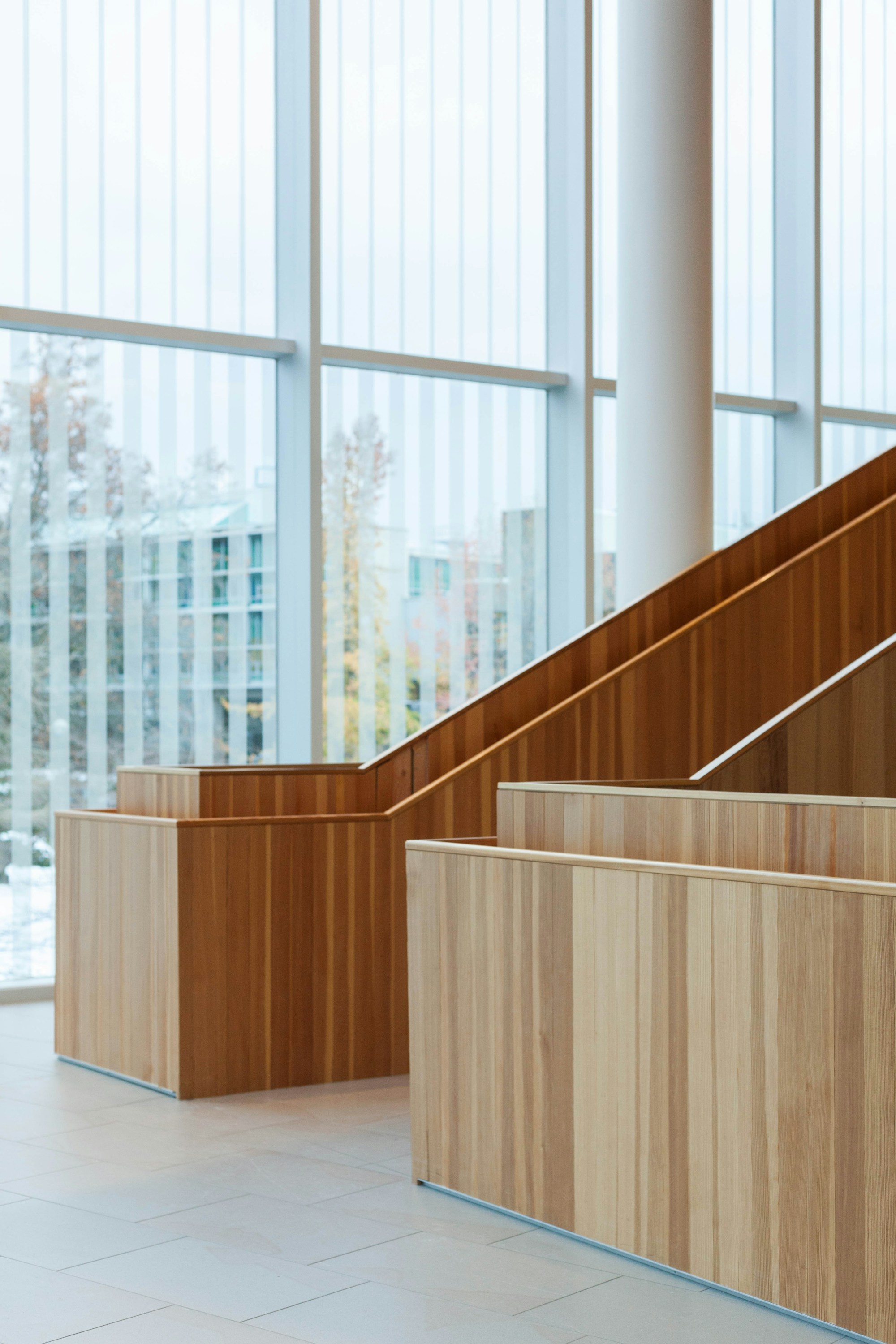 Natural timber and daylight in an understated architectural space